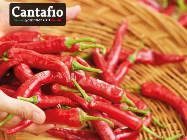 Scopri i Prodotti tipici Calabresi più apprezzati